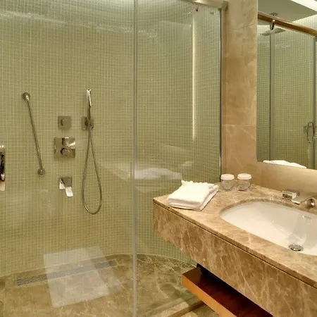 호텔 Crowne Plaza By Ihg
