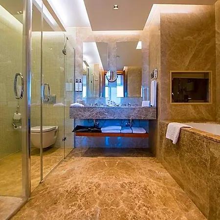 Hotel Crowne Plaza By Ihg Kayseri