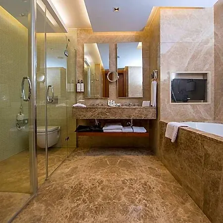Crowne Plaza By Ihg Hotel 5*
