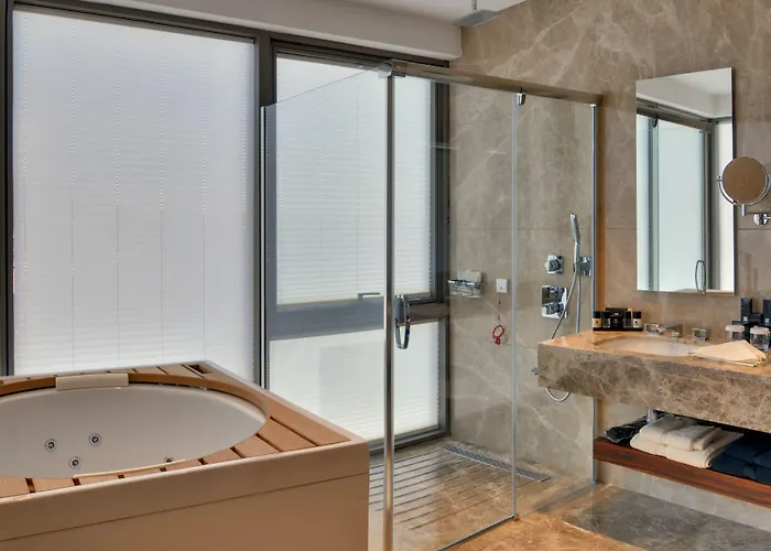 Hotel Crowne Plaza By Ihg Kayseri